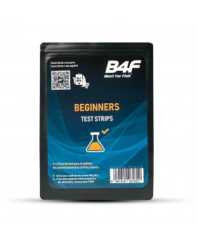 Beginners Test 4 en 1(B4F)