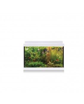 Acuario Aqua Led 20