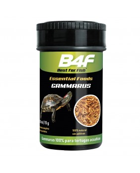 Gammarus  (B4F) 100ml