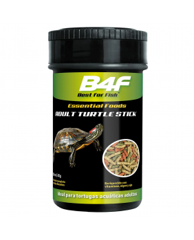 Turtle adult Sticks (B4F) Tortuga de agua