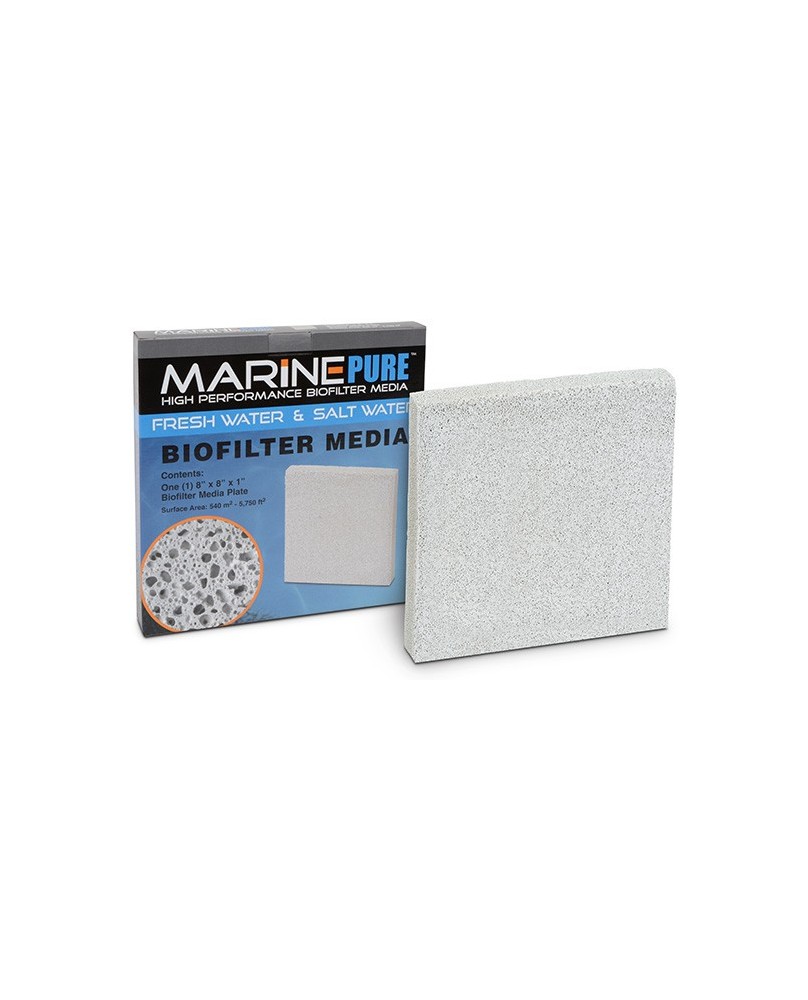 Marine Pure Bloque 20x20x8