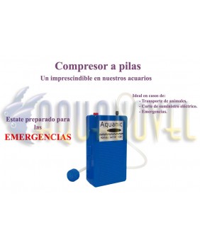 Compresor portátil (96 l/h)