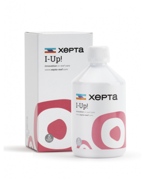 Xepta I-UP (500 ml.)