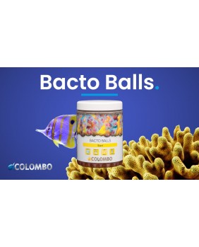 Bacto Balls (Colombo) 1000ml