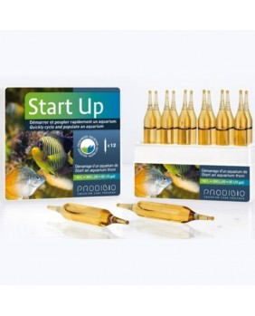 Start Up 30 ampollas